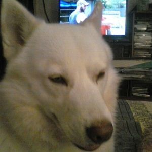 Meet your Posher, Paula